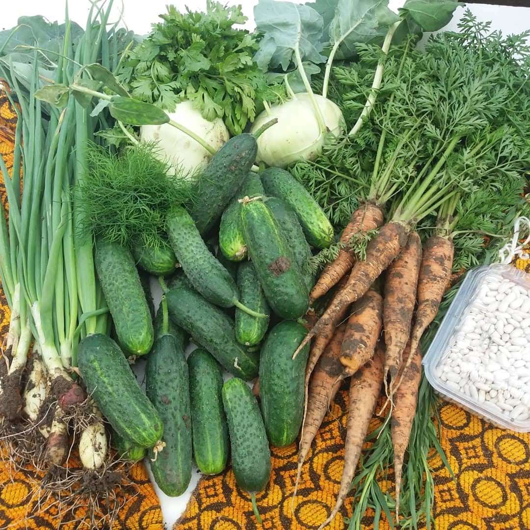 Legume proaspăt recoltate așezate pe iarbă